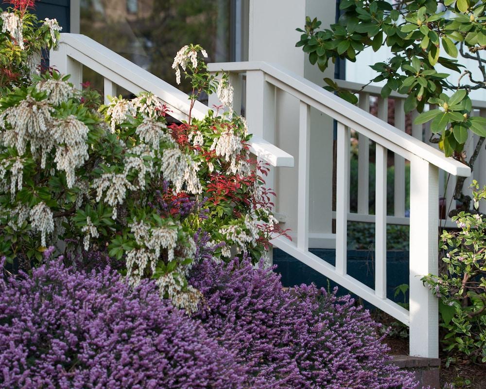 Country Willows Inn (Adults Only) Ashland Exterior foto